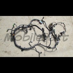 Проводка двигателя Форд / Ford 1.6 G8DB МКПП