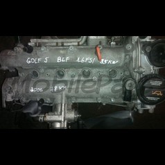 Двигатель ВАГ группа / VAG group 1.6 BLF FSI